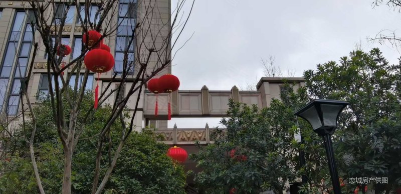 朗基望今缘交通便捷产权清晰车位充足近医院商圈成熟