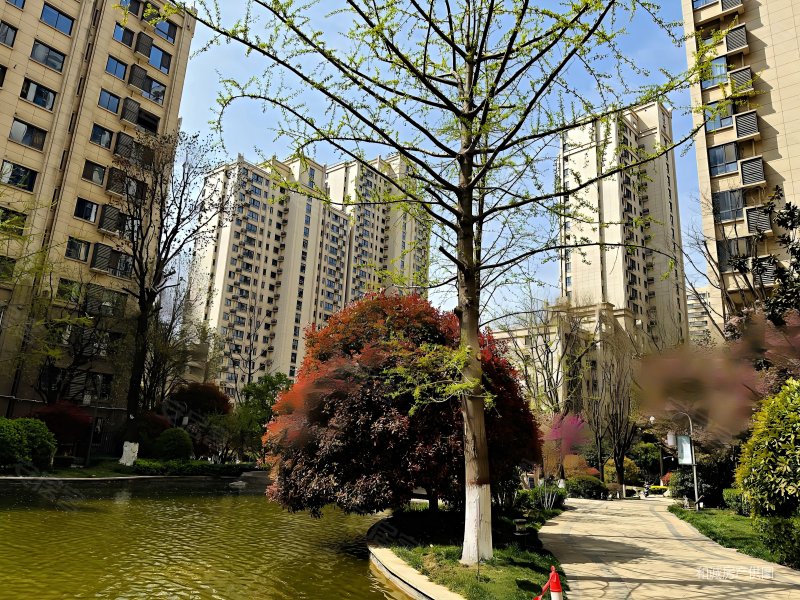 西安房产网>西安二手房>曲江新区二手房>雁南三路二手房>曲江龙邸>