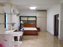 河池金城江金城江城区九龙附近 1房1厅1卫 600元 拎包入住出租房源真实图片