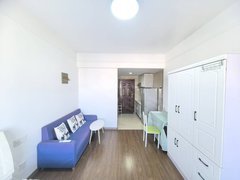 合肥新站火车站未来家园 三号地铁口 白马商圈采光好 电梯房 家电齐全拎包住出租房源真实图片