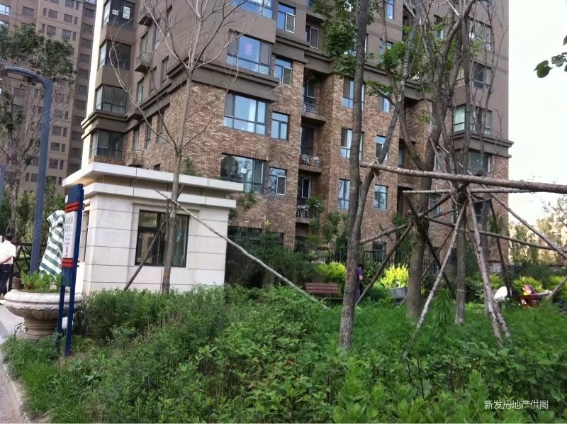 汉森金烁广场南北通透电梯房旁地铁旁