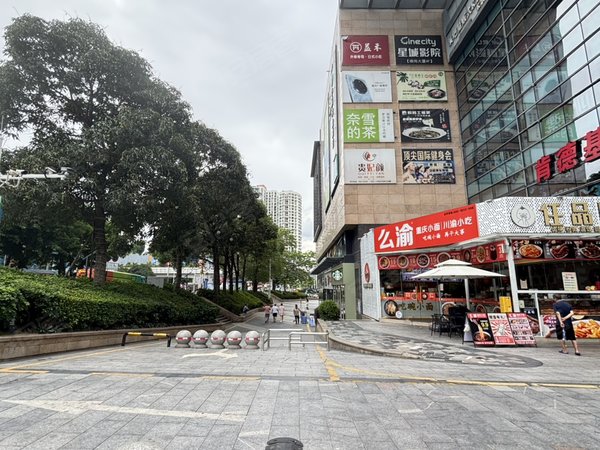 银信中心精装修三房 高楼层朝南 楼下是横岗大厦出租房源真实图片