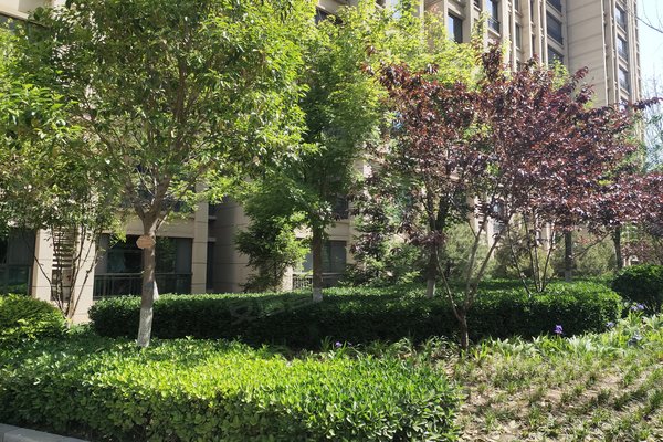 石家庄小区 裕华小区 湘江道小区 如园 如园怎么样