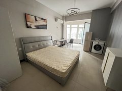 合肥庐阳双岗白水坝地铁口世纪中心新天地广场国光万豪一室家电齐全 随时看房出租房源真实图片