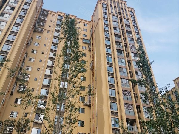 丛树家园精装套一1800