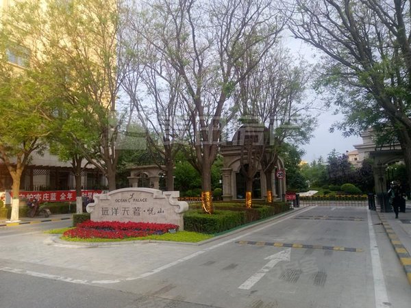 北京大兴亦庄远洋天著悦山(别墅)远洋天著悦山(别墅) 5室2厅8卫 电梯