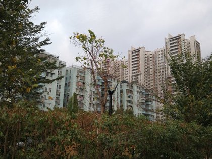 棠德花苑优点 不足 棠德花苑怎么样 棠德花苑周边房产中介经纪人评价 广州安居客 棠德花苑优点 不足 棠德花苑怎么样 棠德花苑周边房产中介经纪人评价 广州安居客