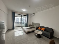 东莞塘厦新开发区塘厦科苑路26号小区 1室1厅1卫  电梯房 精装修38平米出租房源真实图片