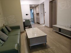 保定雄安新区容城树德花园小区两室两厅一卫电梯房，南北通透精装修出租房源真实图片