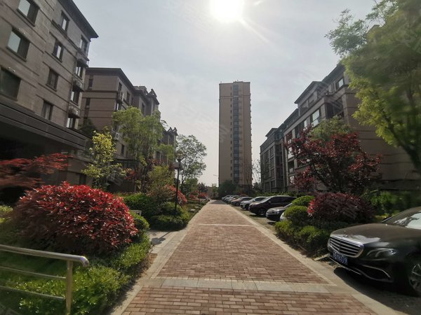 青岛黄岛隐珠中建锦绣城三期锦绣华府二小六中锦绣城华府洋房套三双卫