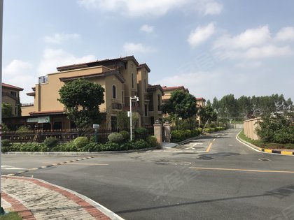 廉江碧桂园(别墅),廉南大道283号 - 湛江廉江碧桂园(别墅)二手房,租房