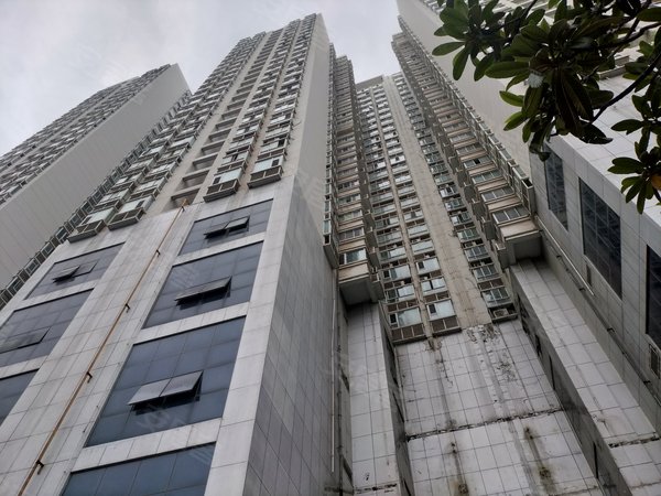 洛阳西工周王城广场国贸中心周王城百货楼旁 国贸大厦 临地铁 中间楼层 精装 可做饭双气出租房源真实图片