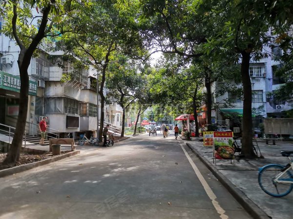 广州海珠赤岗聚德花苑聚德花园精装修电梯两房出租房源真实图片