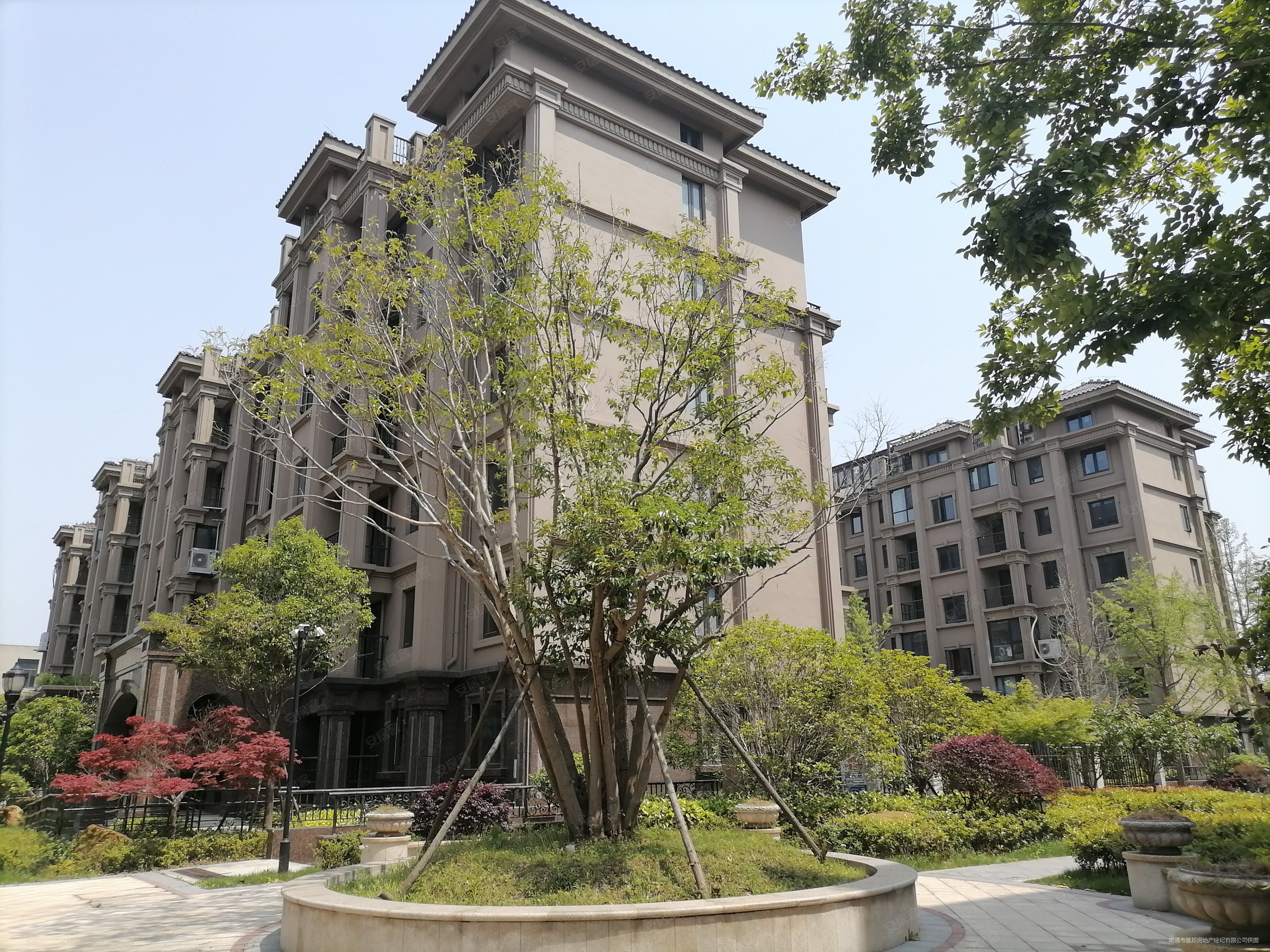 城市嘉苑电梯洋房东区第二排顶楼复式毛坯有钥匙