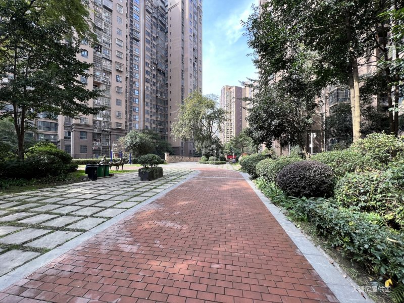 万达旁 电梯洋房套二 精装修 朝南对中庭 生活便利,舜苑一里阳光沃客