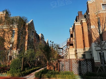 亿利国际生态岛