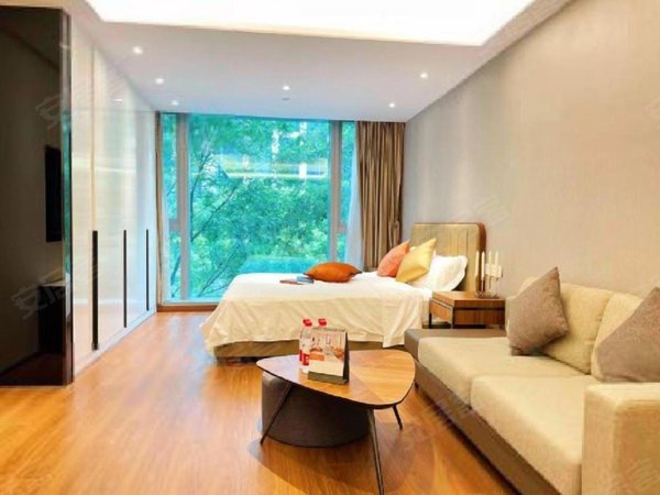 看房随时 多套单身公寓 停车方便  押一付一 精装修豪华单间