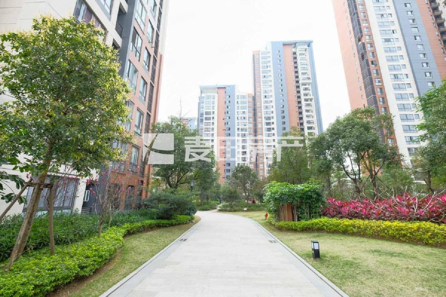 阳光理想城揽月,精装两房,视野好,电梯高层