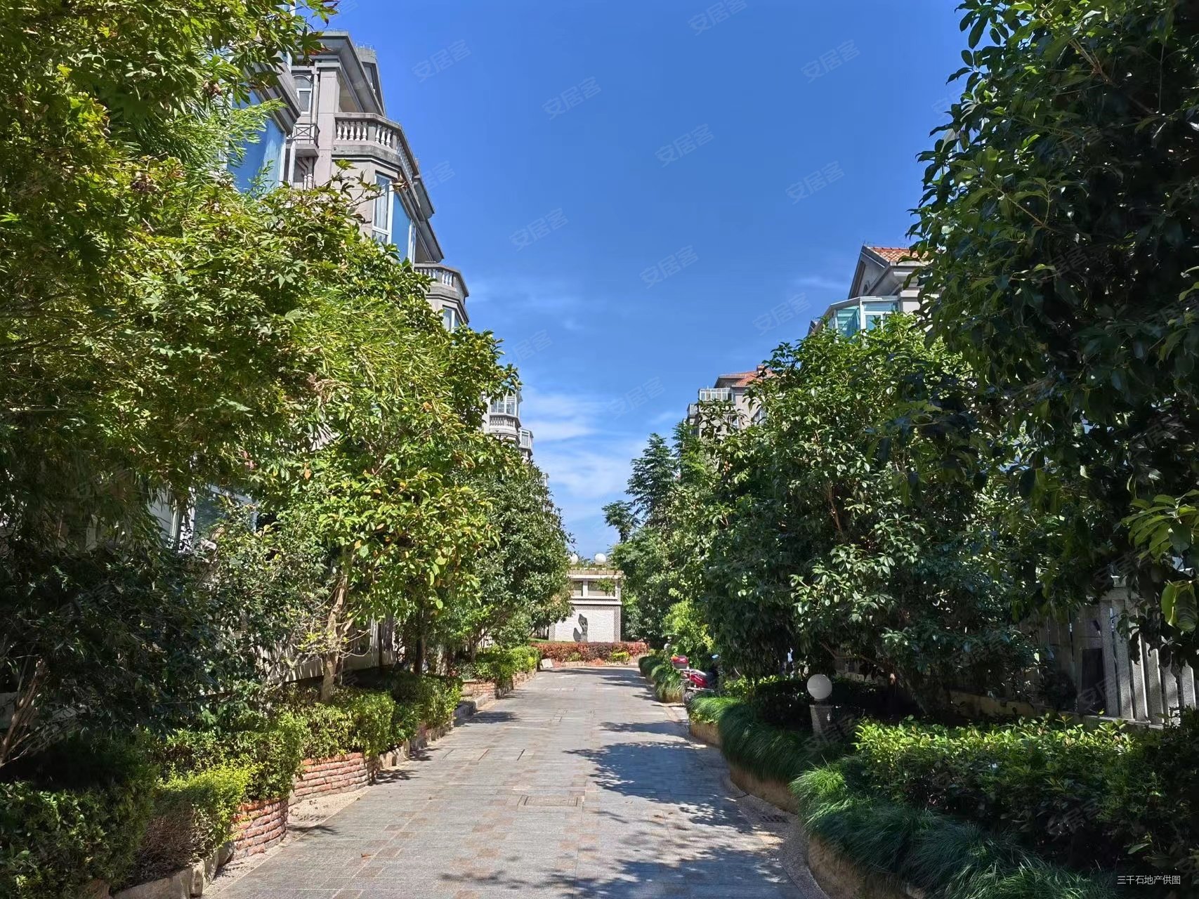 上海房产网>上海二手房>青浦二手房>徐泾二手房>绿中海明苑(别墅)>