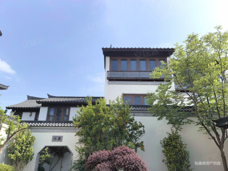 尹山湖畔 凤栖梧桐 新中式园林联排别墅 下沉式花园150平