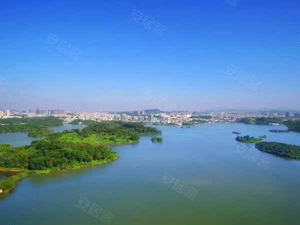 深圳龙岗平湖特发天鹅湖畔特发天鹅湖畔 精装湖景三房 朝南看花园