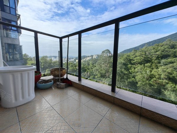 精装修3阳台 南北双面山景停车位充足出租房源真实图片