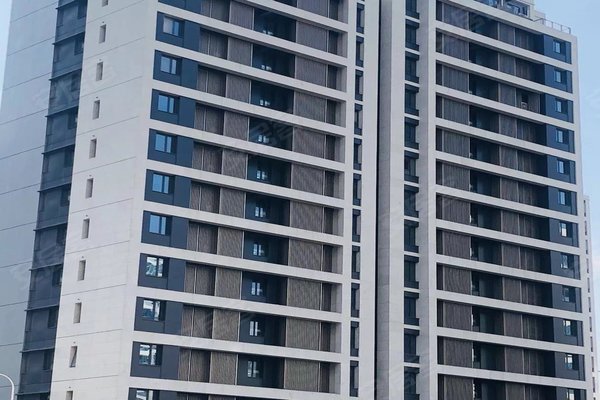 不足,前滩晶萃名邸怎么样,前滩晶萃名邸周边房产中介经纪人评价-上海