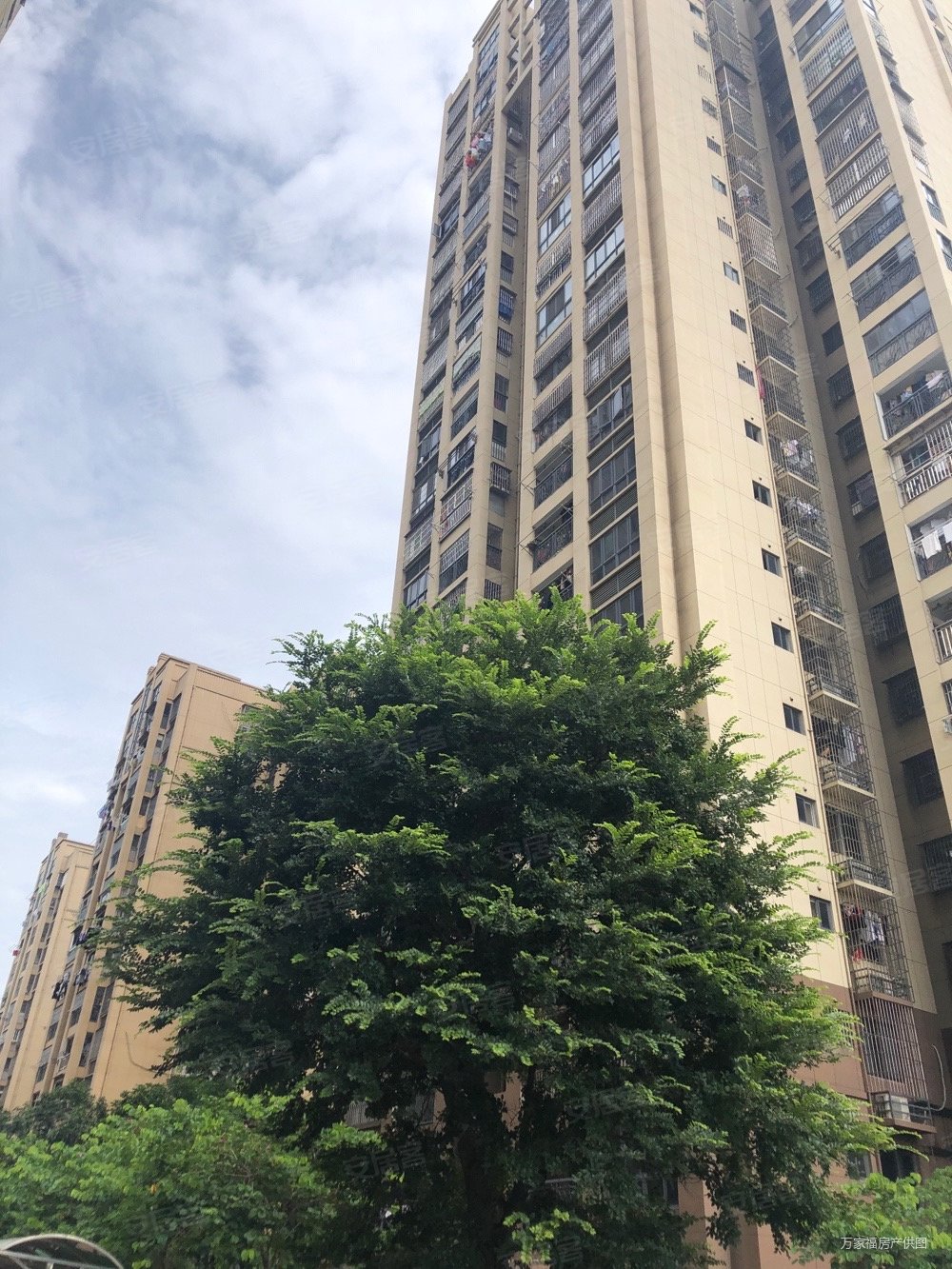 标准1房1厅 有证,园山新苑二手房,105万,1室1厅,1卫,46平米-福州安居