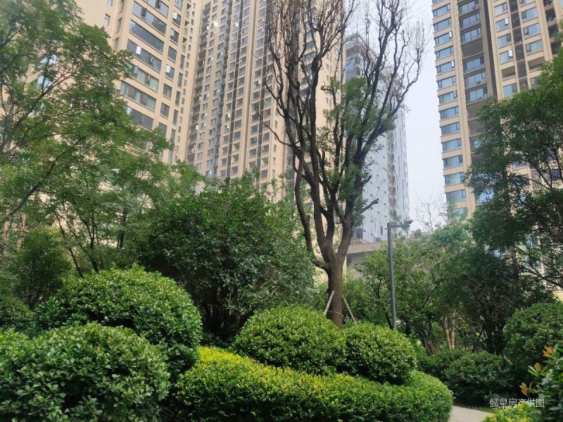 名门万象 正规商品房 出行方便 医疗配套成熟 近地铁