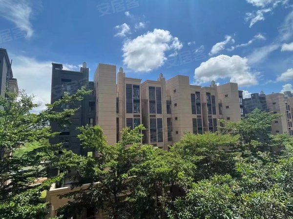 【多图】中环阳光星苑,平湖租房,禾花地铁口 3室2厅 精装修 配套齐全