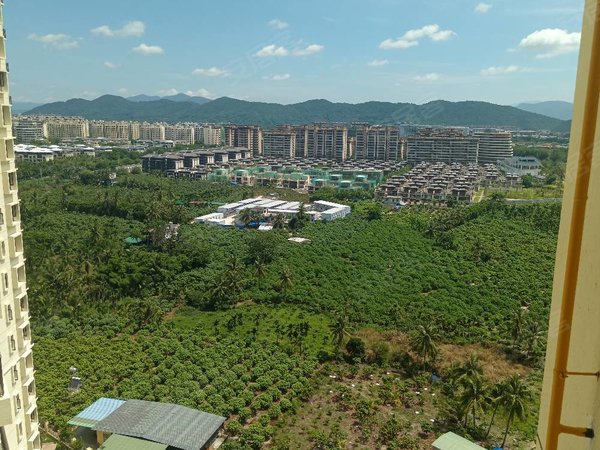 三亚海棠永宁海棠湾林旺(二期)近免税店,小区门口有幼儿园小学,林旺