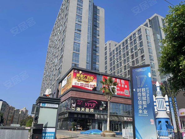 广州花都狮岭联合广场联合广场 1室1厅1卫 49平 精装修 电梯房出租