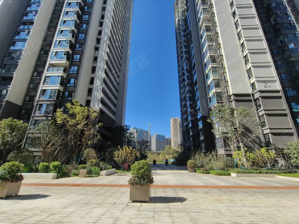 昆明呈贡市政府吾悦首府(东区)可短租押一付一实拍直租无中介 近呈贡