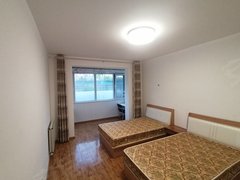 北京丰台马家堡洋桥 马家堡 地铁4号线 精装修南向主卧室带阳台 出租房源真实图片