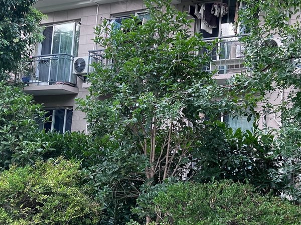 上海松江九亭翠亭别墅整租九号线九亭地铁口1300到2600独立一室户拎包