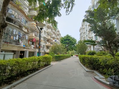 金山小区,金山西里11-133号 - 厦门金山小区二手房,租房,房价-厦门