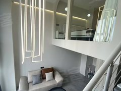 常州天宁丽华弘阳天下锦复式loft,拎包入住看房方便价格可谈出租房源真实图片