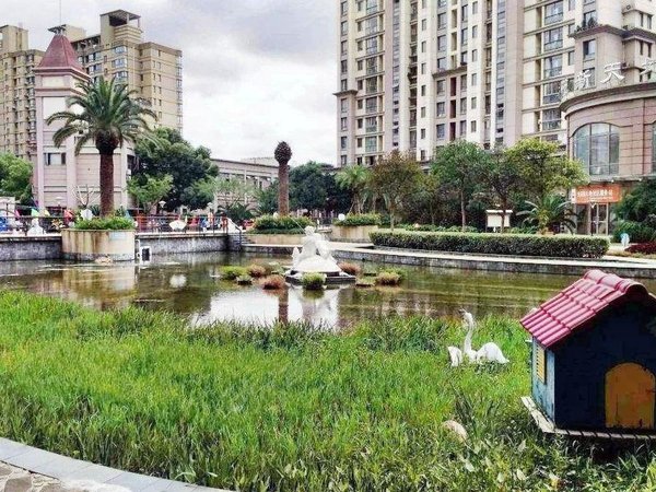 【多图】碧林湾摩登堂,七宝租房,七宝碧林湾大一房豪华装修 小区环境