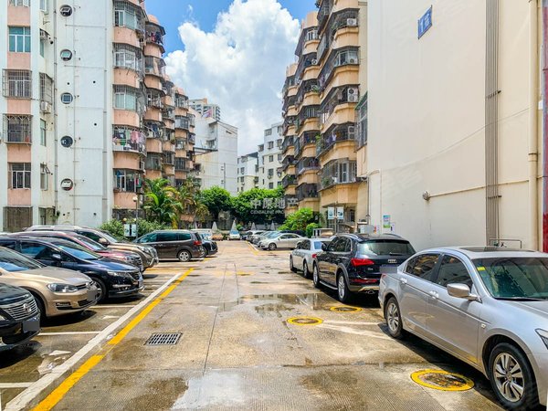 深圳罗湖水库宝龙苑宝龙苑带电梯三房,精装带家私,看房有钥匙出租房源