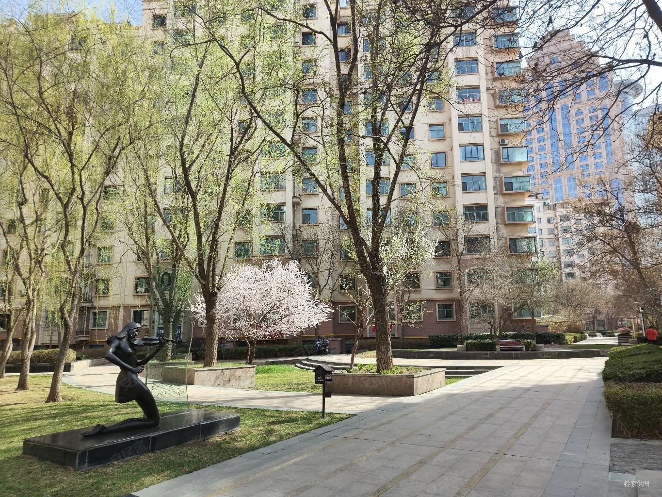 雁滩高新区天庆嘉园星河缘三室两厅一卫南北通透 精装修 中层