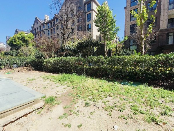 俊发生态半岛 一楼带花园带地下室 4房可办公 随时看房出租房源真实