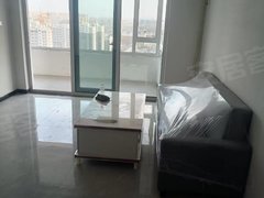 莘县东鲁街道东鲁陶然居,电梯房,家具家电齐全,拎包入住。出租房源真实图片