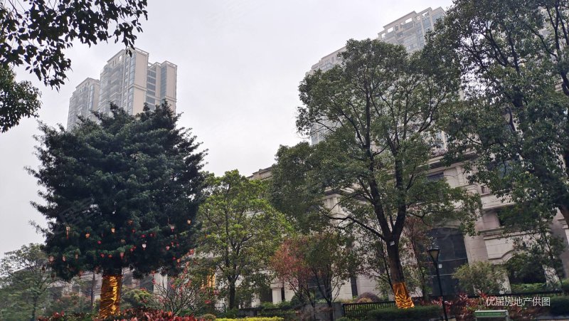 五年祖庙东海银湾惊现145就能入手的电梯三房速约