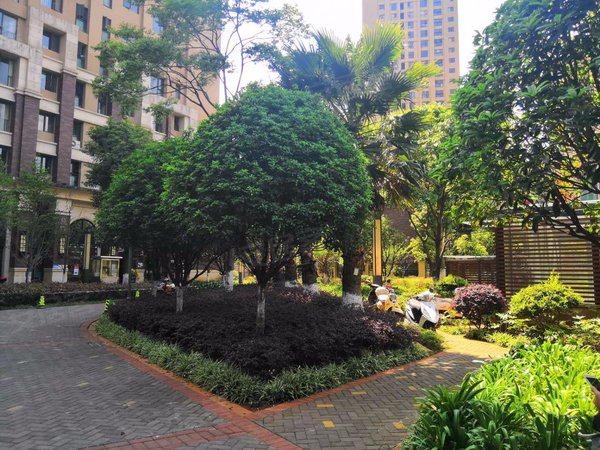 昆明五华莲花片区莲花池畔昆明小菜园花池畔 2室2厅1卫 配套齐全 南北