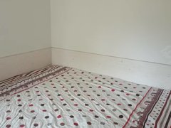 沧州黄骅黄骅信誉楼御景豪庭普通装修两室可半年租每月900出租房源真实图片