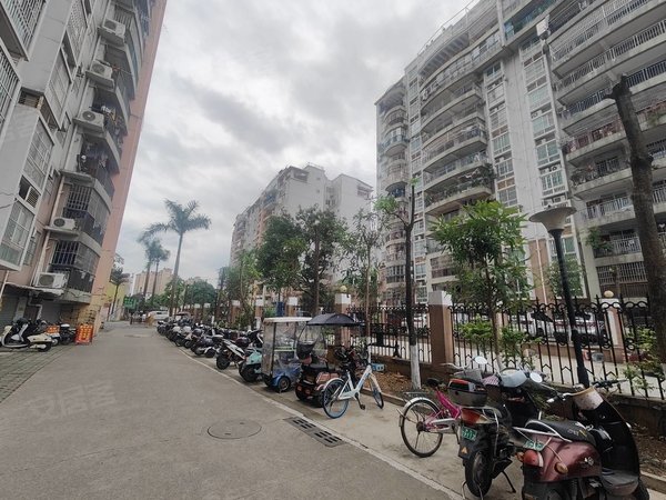 南宁西乡塘明秀路丽园小区丽园小区西大附中旁,电梯中间楼层配齐,精