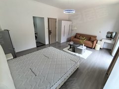 合肥高新柏堰湖别墅套内南向带阳台,月付,近英唐产业园,北雁湖地铁,讯飞语音出租房源真实图片