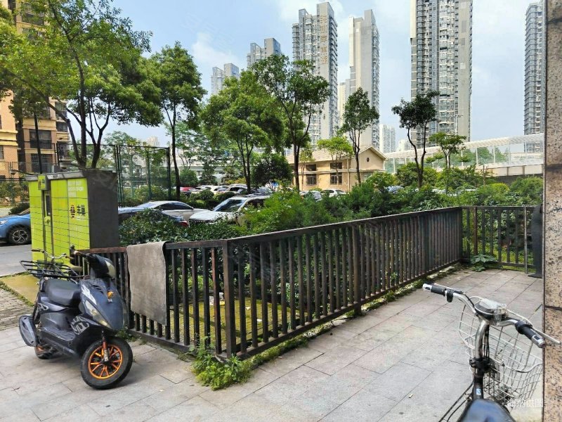 楚河汉街东湖绿道铁机路地铁口东沙花园朝南两室一厅