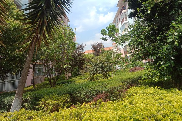 灵秀小区怎么样,好不好_中介房产经纪人:杞兆萍对灵秀小区的评价-楚雄