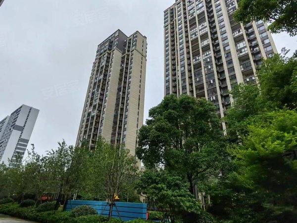 南昌象湖象湖新城新力象湖湾象湖滨江 地铁4号线,新洪大市场旁新力